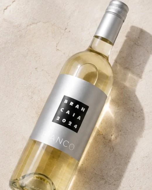 CARMELIA BIANCO Toscane 2024 — 3