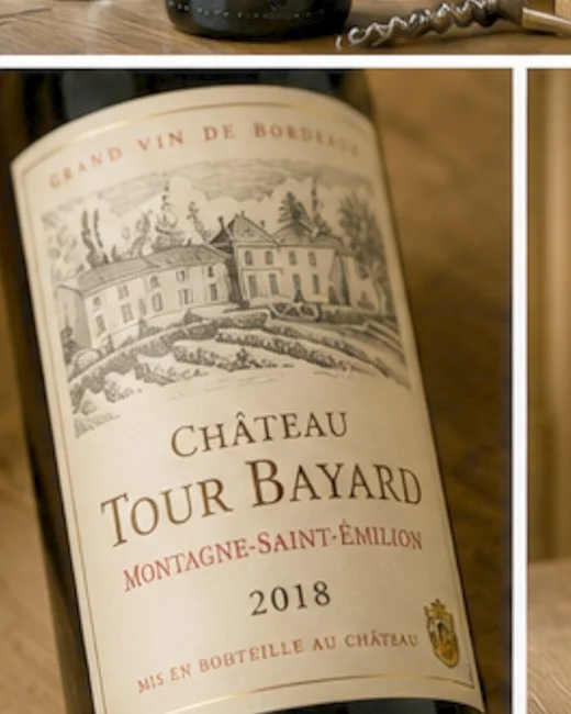 Château Tour Bayard Baron De Rothensteyn 2018 Montagne Saint Émilion — 4