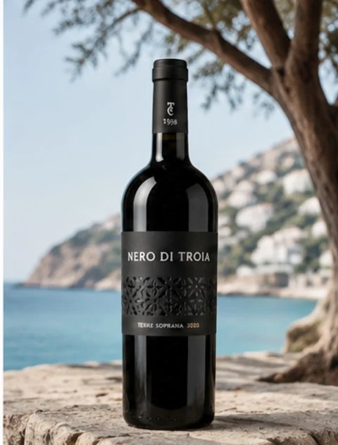 Nero di Troia 2023 Terra Soprana