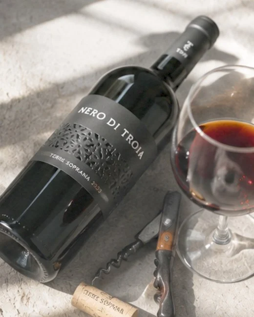 Nero di Troia 2023 Terra Soprana — 4