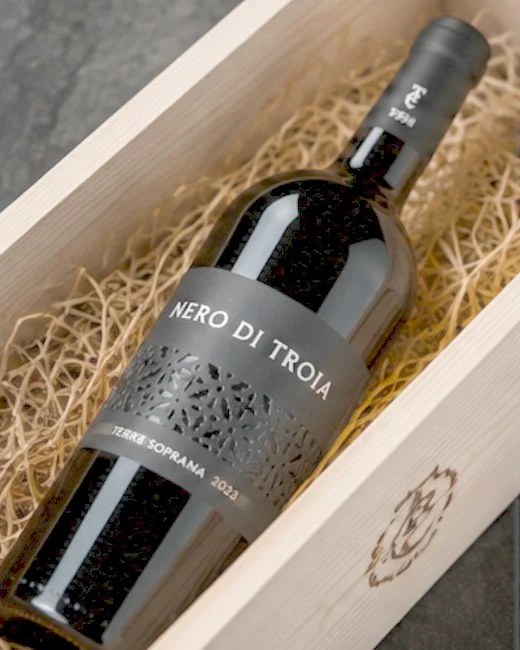 Nero di Troia 2023 Terra Soprana — 5
