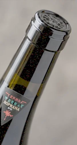 Terra Soprana Amarone della Valpolicella Classico 2020 — 4